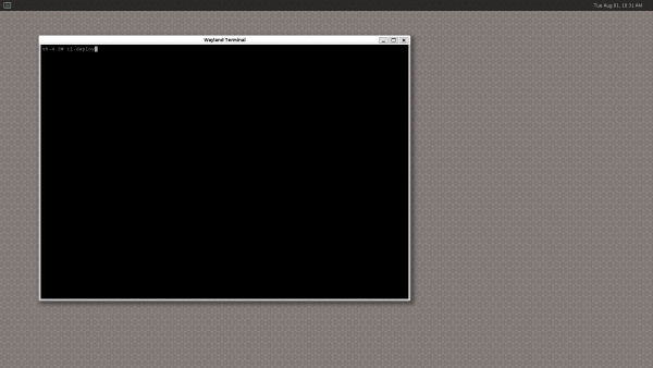 Wayland cl-deploy start.png